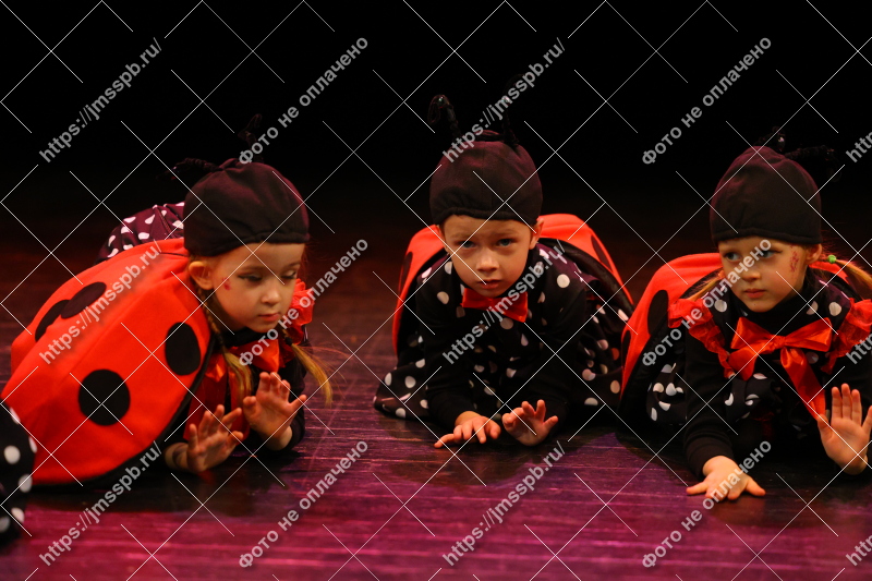 Фото