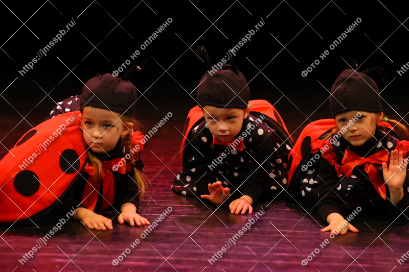 Фото