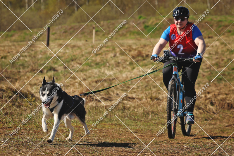 Фото