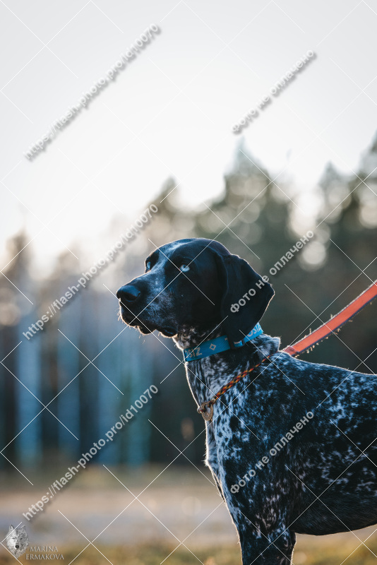 Фото