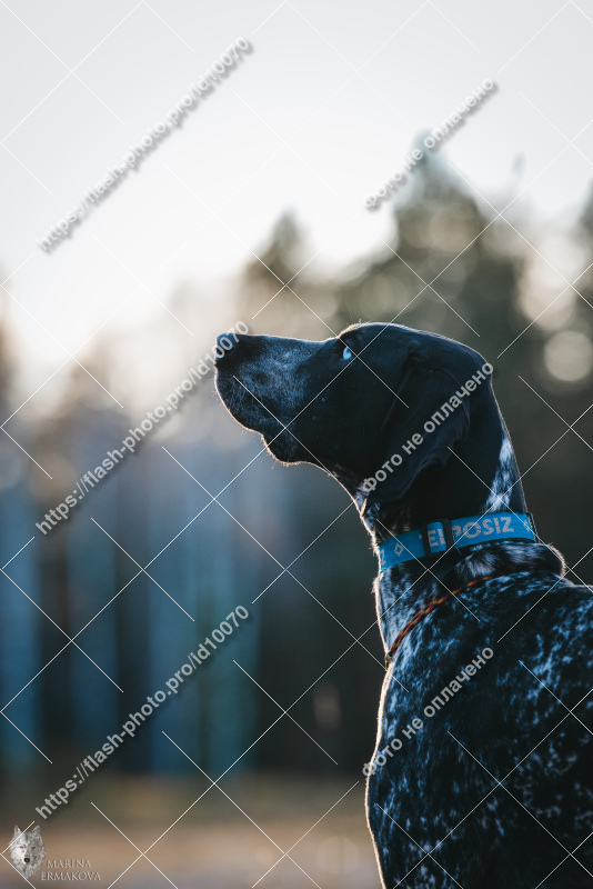 Фото