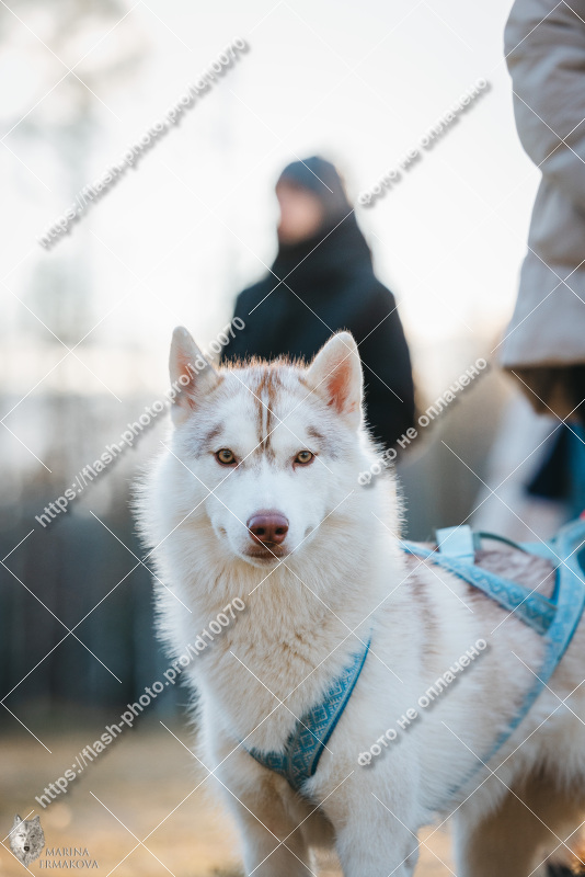 Фото
