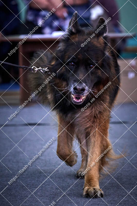 Фото