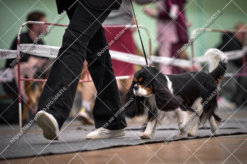 Фото