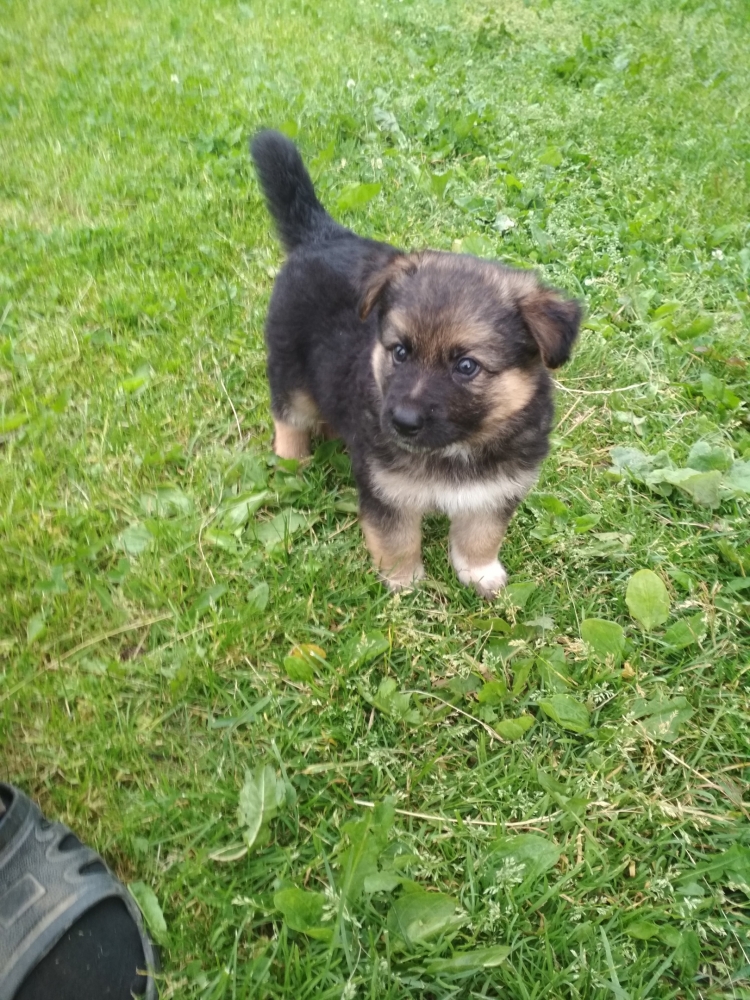 Фотографии