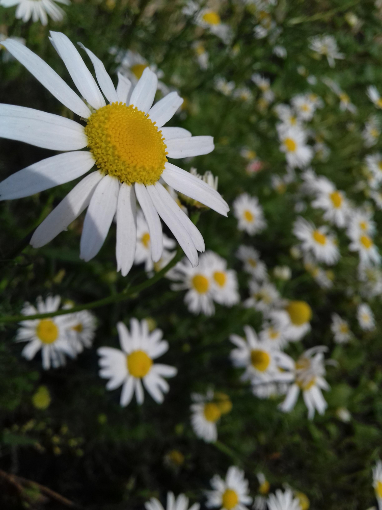 Фотоработы